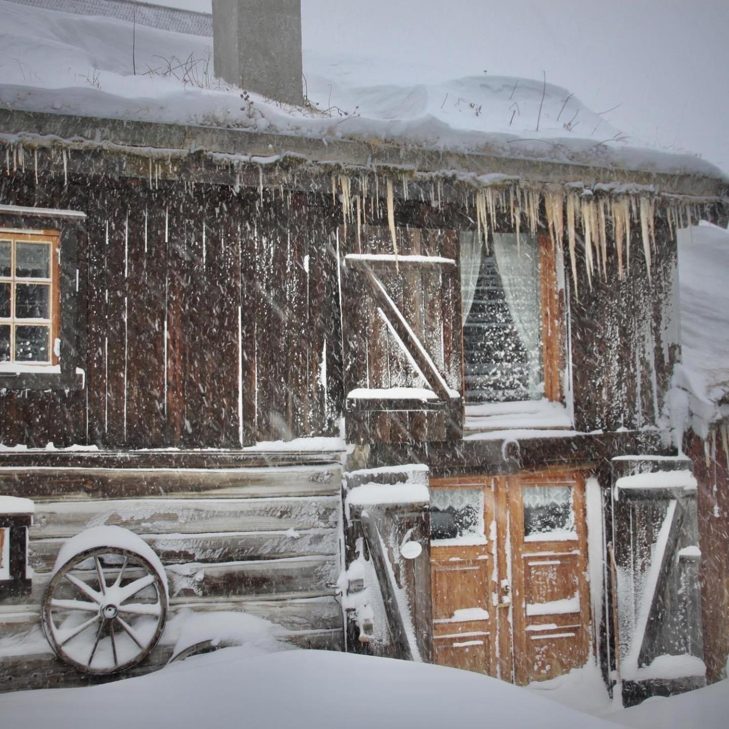 Albyggarden Villa Røros Екстериор снимка